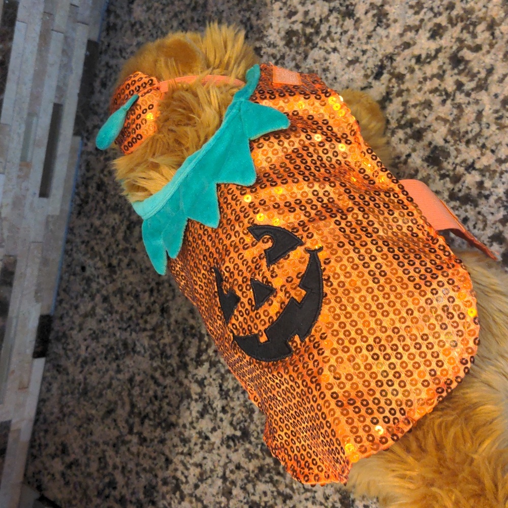 Pumpkin small pet Halloween costume